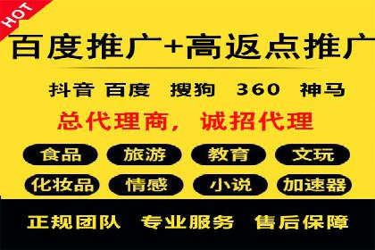 百度推广公司案例解析：如何利用百度推广实现快速转化